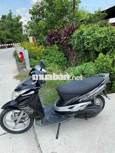 ULTIMo giấy Tp.. máy móc OK khô ráo chạy bền
