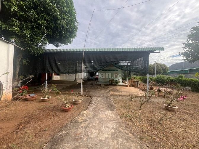 Bán Đất Biệt Thự Xã Hòa Long-TP. Bà Rịa