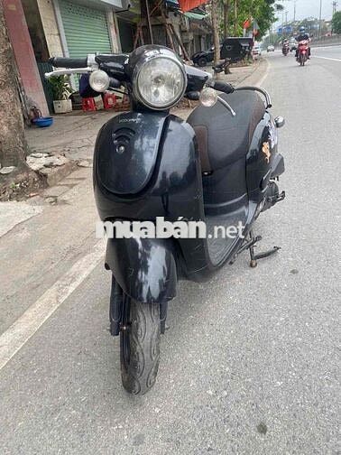 Xe scoopy 50 đời cao zin cả xe đẹp mê ly