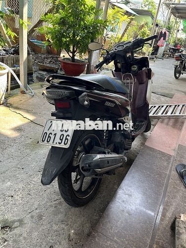 Novo 5 phun xăng điện tử