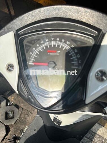 sh 150 trang sport