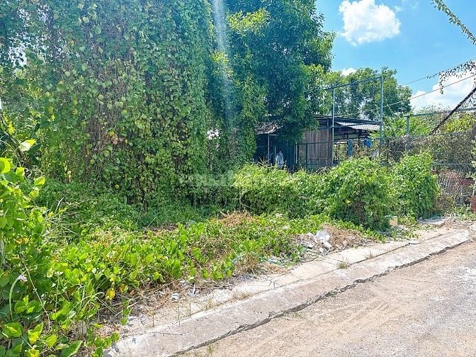 ĐẤT GẦN MT LÊ VĂN LƯƠNG, HẺM XE TẢI, 110M2