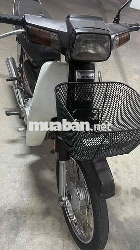 dream biển 50 ký mua bán được