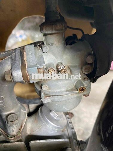 dream biển 50 ký mua bán được