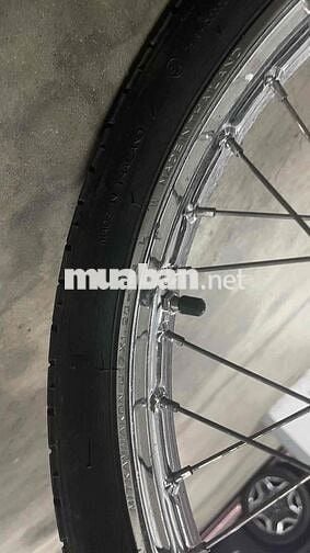 dream biển 50 ký mua bán được