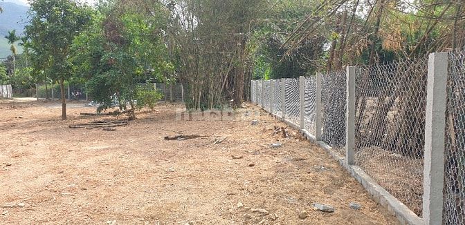 BÁN ĐẤT NHÀ VƯỜN Ô TÔ TẬN NƠI – CÓ SUỐI SAU NHÀ  Diện tích: 1.769 m²  