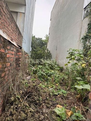 Bán đất Ngọc Thụy - 75m2 - Mặt đường ô tô 8m - GIÁ 7,5 tỷ