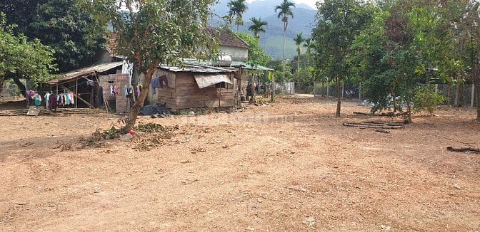 BÁN ĐẤT NHÀ VƯỜN Ô TÔ TẬN NƠI – CÓ SUỐI SAU NHÀ  Diện tích: 1.769 m²  