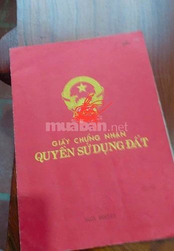 Mặt tiền 15m, vị trí cực đẹp, xây tòa nhà khách sạn. Thông số vàng: Di