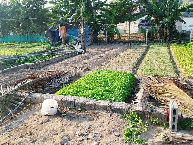 VHA140 BÁN ĐẤT HẺM 3M ĐƯỜNG ĐÀO VĂN TIẾN - VĨNH HẢI