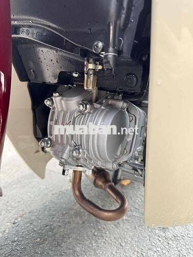 Super cub 125 2019 đỏ trắng mẫu máy lớn 1 yên