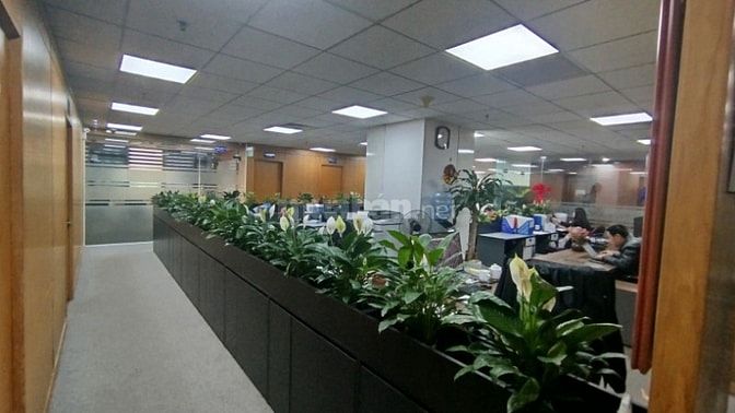 Chính chủ Cho thuê Văn phòng tại Phạm Hùng, Mễ Trì, Nam Từ Liêm, HN