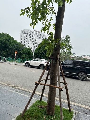 Cho thuê tầng hầm 2, nhà số 44 đuờng Xuân Diệu, Quảng An, Tây Hồ