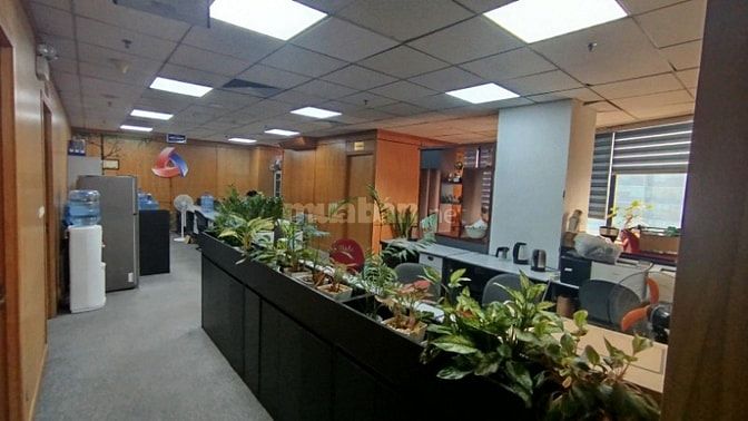 Chính chủ Cho thuê Văn phòng tại Phạm Hùng, Mễ Trì, Nam Từ Liêm, HN