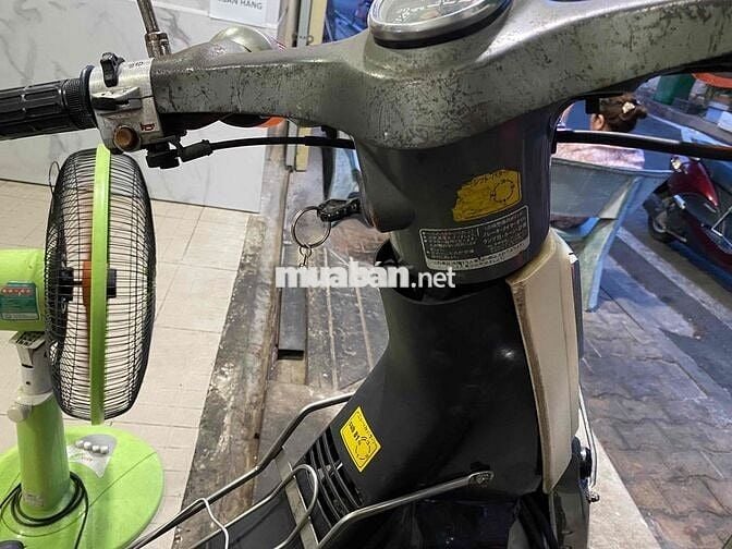 honda cub 81 kim vàng