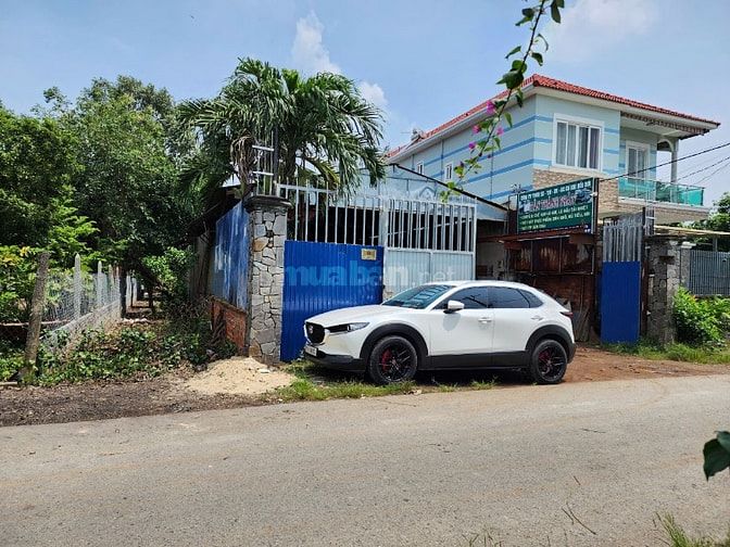 Chính chủ, cần bán gấp bất động sản dòng tiền, xã Tân Thông Hội,Củ Chi