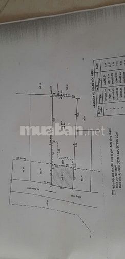 Bán Đất Thảo Điền, Quận 2 cũ, TP. Thủ Đức