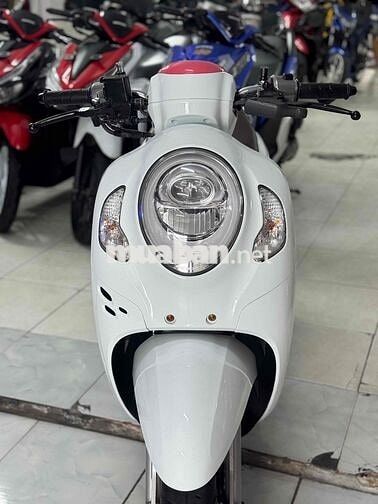 SCOOPY