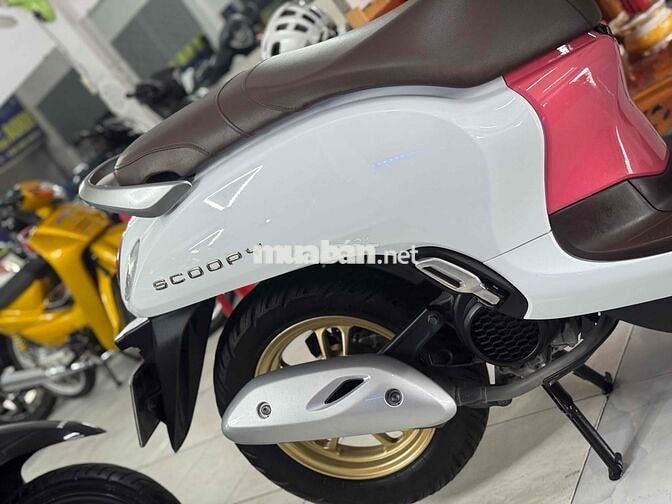 SCOOPY