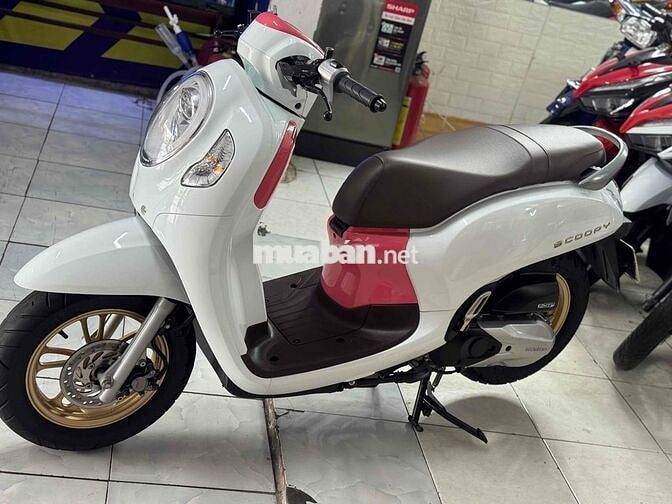 SCOOPY