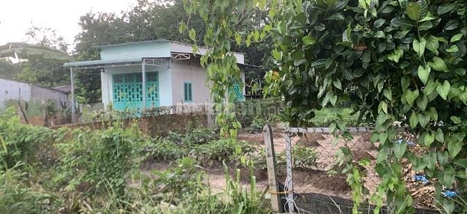 Bán đất Phú Hòa Đông-Củ Chi, góc ngã tư Nguyễn Văn Khạ-Phạm Văn Cội