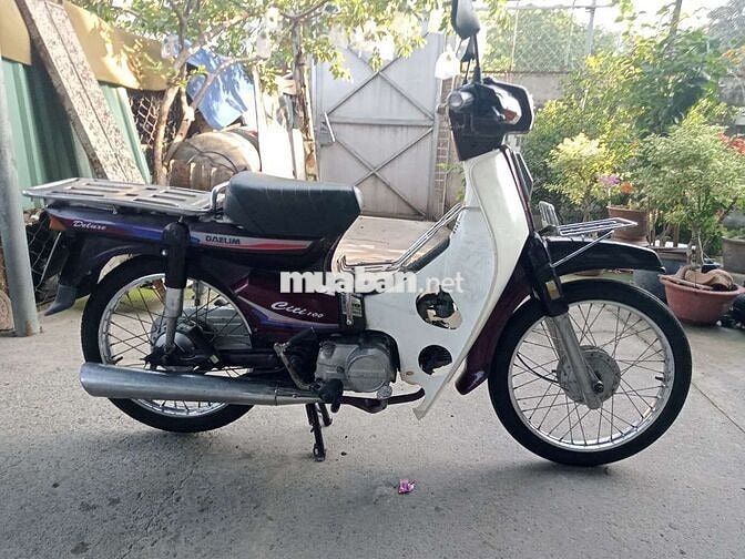 Honda dalim Citi thùng biển số sài gòn