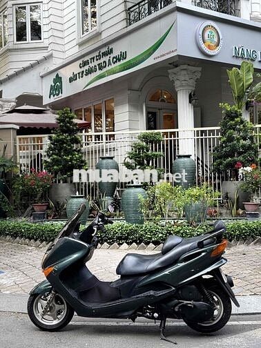 xe majesty đồng hồ điện tử bao cọp bstp