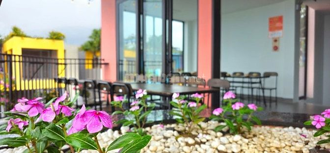 Nhà Hàng Hải Sản Voi Hồng Flamingo Hải Tiến