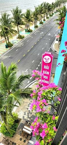 Nhà Hàng Hải Sản Voi Hồng Flamingo Hải Tiến