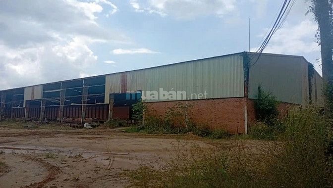 Cho thuê kho xưởng lớn tại Lộc Thạnh – Đức Hòa – Long An, giá cực tốt 