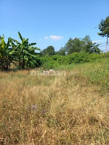 5400m2 Đất cấn đường dự phóng về quận 7, giá rẻ hơn lô thường
