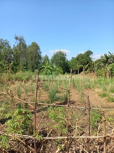 5400m2 Đất cấn đường dự phóng về quận 7, giá rẻ hơn lô thường
