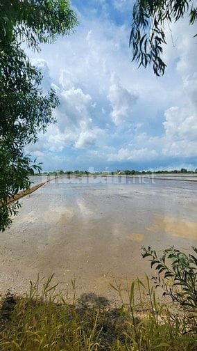 THÔNG BÁO ĐẤU GIÁ TÀI SẢN THEO THỦ TỤC RÚT GỌN