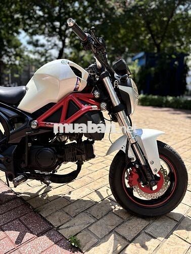 ❤🌈🤩Moto Mini Ducati 110cc,màu trắng  siêu VIP
