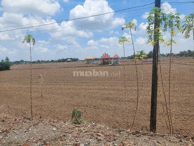 Kẹt tiền Bán Gấp Thanh Lí 500M Thổ cư với giá tương đương 300M
