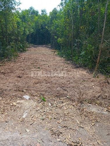 Bán đất Gò Hà- Hoà Khương -Hoà Vang- Đà Nẵng