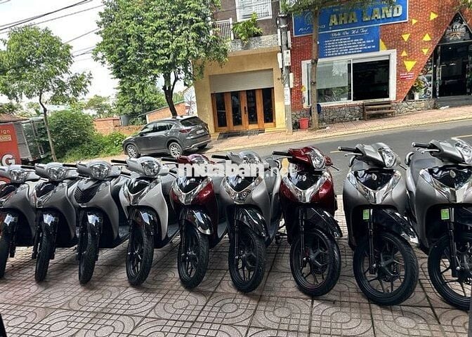 Sh Mode Đủ Loại Cho Ae Lựa Chọn