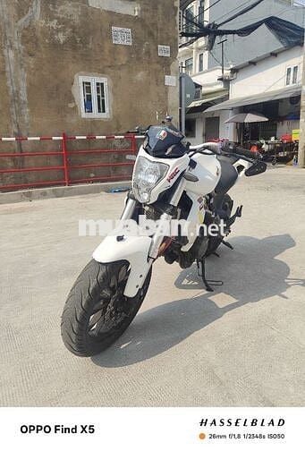 Benelli 302