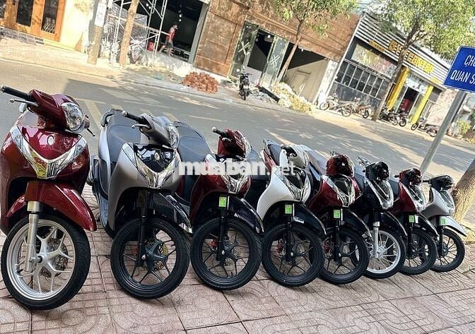 Sh Mode Đủ Loại Cho Ae Lựa Chọn
