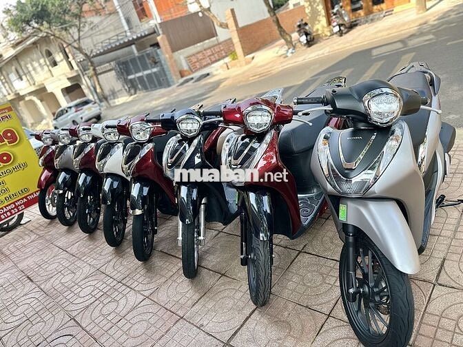 Sh Mode Đủ Loại Cho Ae Lựa Chọn
