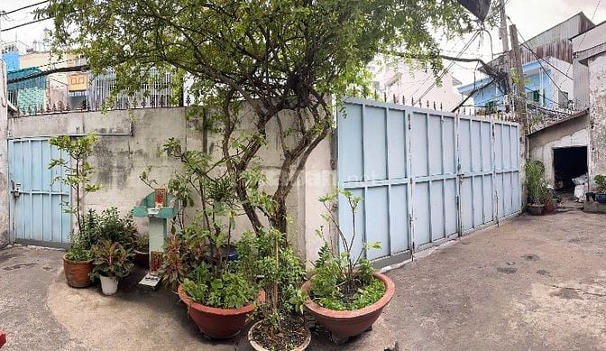 MT Lý Thánh Tông diện tích lớn vị trí đẹp sầm uất