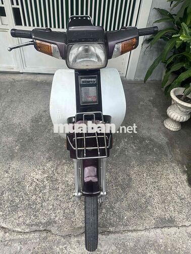dream 50cc Han quoc BSTP giay to đay đu