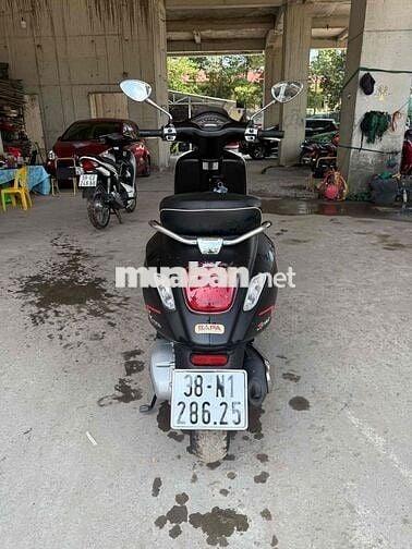 Vetpas 2022 Sprin Siêu Đẹp 9 Chủ