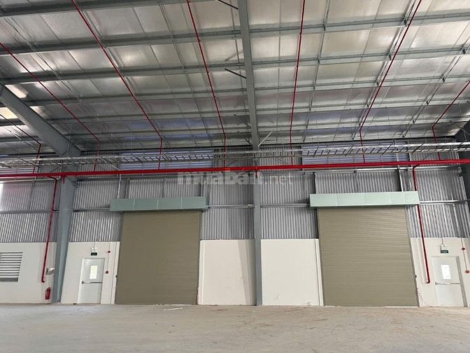 Cho thuê nhà xưởng mới xây đẹp tại  KCN Long Hậu – Cần Giuộc , Long An