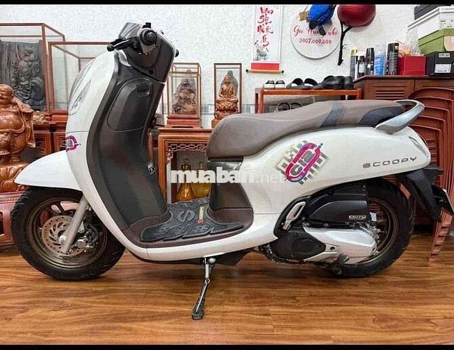xe Scoppy lướt