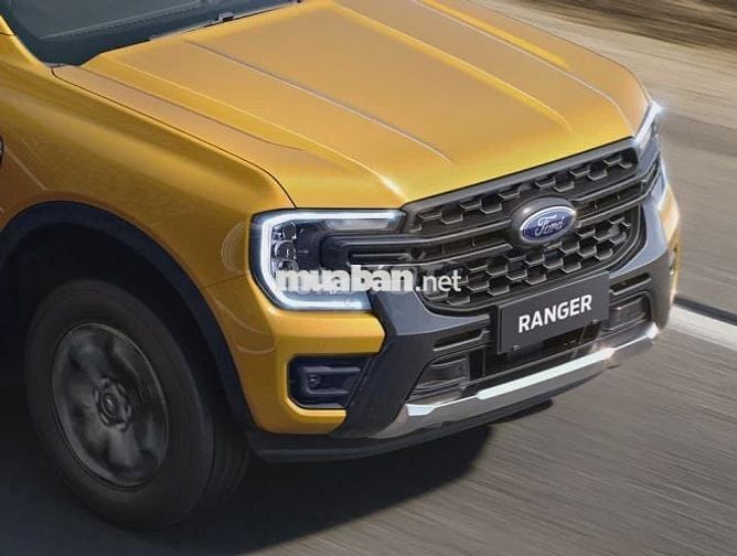 Ford 2025