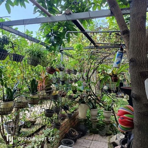 Bán 2 lô liền nhau 5*20m. Khu phố 4 Thị Trấn Hóc Môn 
