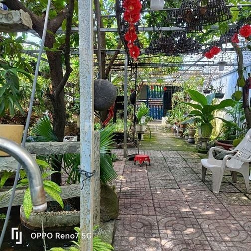 Bán 2 lô liền nhau 5*20m. Khu phố 4 Thị Trấn Hóc Môn 
