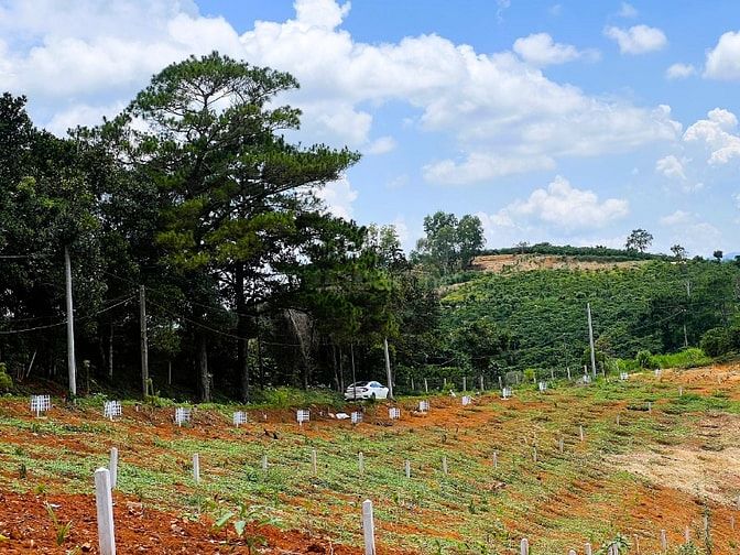 Bán đất đường nhựa liên xã Đan Phượng