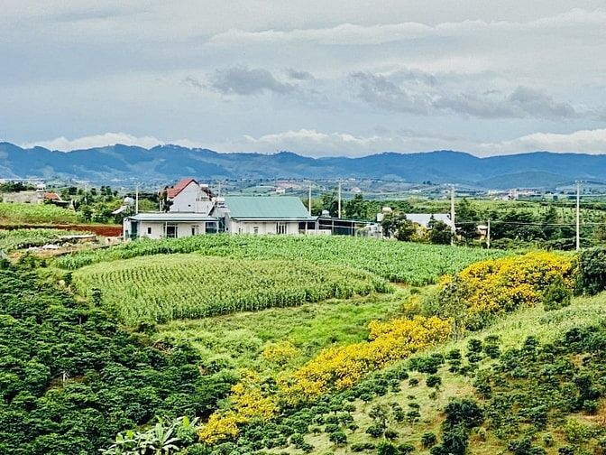 Bán đất đường nhựa liên xã Đan Phượng